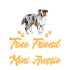 Miniature Australian Shepherd