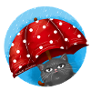 Rainy Day Cat