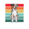 Miniature Australian Shepherd