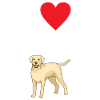 Labrador Lover Gifts