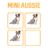 Miniature Australian Shepherd