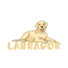 Labrador Lover Gifts