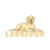 Labrador Lover Gifts