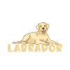 Labrador Lover Gifts