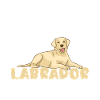 Labrador Lover Gifts