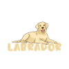 Labrador Liebhaber Geschenke