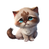 Cat Kitten Gift