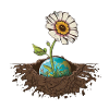 Earth, Plants, Flowers, Environment