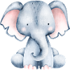 Cute little elephant