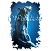 Wolf Love