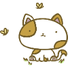 Cute cat