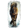 Cheval