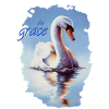 Swan