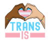 Transgenre Trans LGBTQ