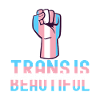 Transgender Trans LGBTQ