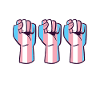 Transgender Trans LGBTQ