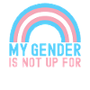Transgenre Trans LGBTQ