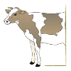 Cow - Cow Half in Frame