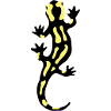Salamander