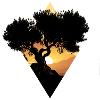 Olive tree at sunset