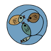 Fisch 5
