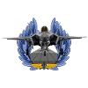 F-35 Lightning II