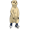 Suricates Patins à roues alignées