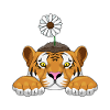 Tiger Daisy Flowers