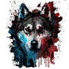 Husky Dog
