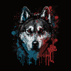 Husky Dog