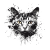 European Shorthair Cat EKH Pedigree Cat