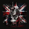 Grumpy English Bulldog