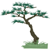 Old Tree | gnarled tree