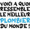 Le meilleur plombier