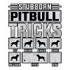 Stubborn pitbull tricks