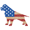 Pitbull USA