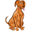 Vizsla Dog