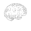 Prompt Engineer - AI - Artificial Intelligence