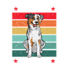 Miniature Australian Shepherd