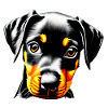 Dobermann Hund Dobermannwelpe Dobermanntrainer