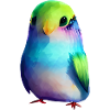 Budgie Bird Propriétaire Bird Cockatiel