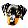 Dobermann Hund Dobermanntrainer Dobermannwelpe