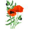 Blumen