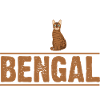 Cat Bengal Cat