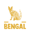 Katze Bengalkatze