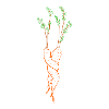 Cuddles HUGS carrots line art