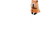 Capybara Wasserschwein Capybaras