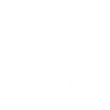 Heilige Birma Katze