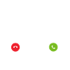 Heilige Birma Katze