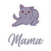 Britisch Kurzhaar Katze